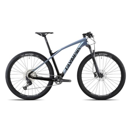 BICI 29 OLYMPIA IRON PRO 12S CARBON.