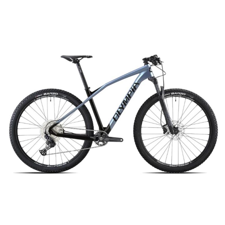 BICI 29 OLYMPIA IRON PRO 12S CARBON.