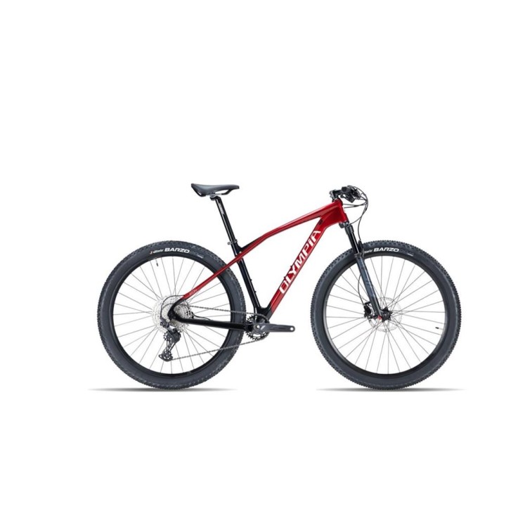 BICI 29 OLYMPIA IRON PRO 12S CARBON.