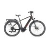 BICI 29 OLYMPIA SUPER MAGNUM TREKKING/URBAN UOMO 630WH