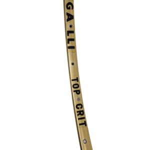 CERCHIO_28_BICI_CORSA_TUBOLARE_GALLI_TOP_CRITERIUM_36F_ORO