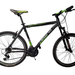 BICI_26_MTB_ALLUMINIO_REGINA_SPARK_21V_USATA