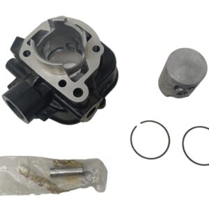 KIT_MODIFICAGRUPPO_TERMICO_MALOSSI_H20_FRANCO_MORINI_G304-303-MALAGUTI_FIFTY