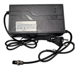 CARICA_BATTERIA_48V_PER_BATTERIA_AL_PIOMBO
