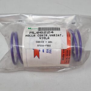 MOLLA_DI_CONTRASTO_VARIATORE_DR_22_DI_COLORE_VIOLA_PER_PIAGGIO_SFERAFREEZIP