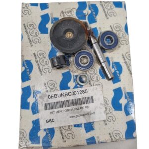 KIT_REVISIONE_GSC_POMPA_PIAGGIO_GILERA_RANNER_125180