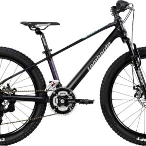 BICI_24_LOMBARDO_BRERA_CON_CAMBIO_6V_NERA BICI_24_LOMBARDO_BRERA_CON_CAMBIO_6V_NERA