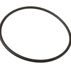 O-RING_APRILIA_PEGASO_650_IE_01