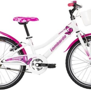 BICI_20_LOMBARDO_CREMONA_SCAMBIO BICI_20_LOMBARDO_CREMONA_SCAMBIO