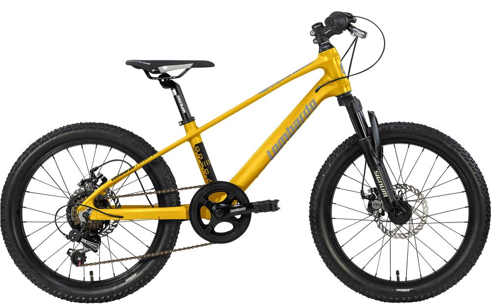 BICI_20_LOMBARDO_BRERA_7V_MAGNESIO BICI_20_LOMBARDO_BRERA_7V_MAGNESIO