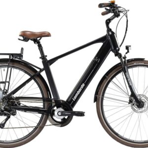 BICI_28_LOMBARDO_TRASTEVERE__E-BIKE BICI_28_LOMBARDO_TRASTEVERE__E-BIKE